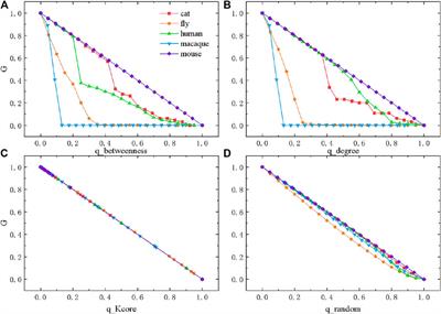 Percolation Analysis of Brain Structural Network